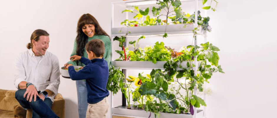 Family Rise Garden Assembly-featured