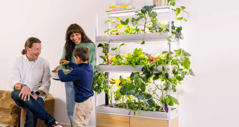 Family Rise Garden Assembly Instructions Family Rise Garden Assembly-featured