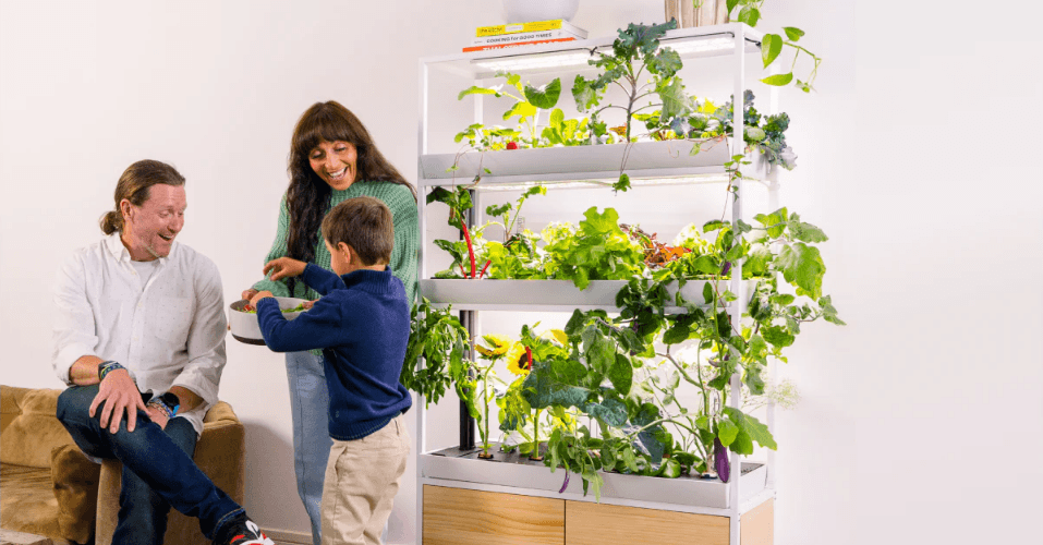 Family Rise Garden Assembly Instructions