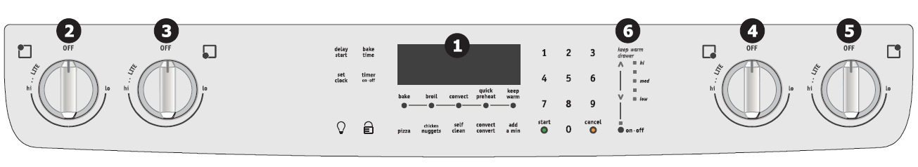 Frigidaire Gallery FGDS3065K Range 1