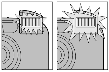 Minolta Explorer Freedom Zoom Film Camera User Manual Minolta Explorer Freedom Zoom Film Camera-32