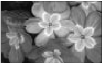 Minolta Explorer Freedom Zoom Film Camera User Manual Minolta Explorer Freedom Zoom Film Camera-52