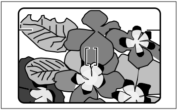 Minolta Explorer Freedom Zoom Film Camera User Manual Minolta Explorer Freedom Zoom Film Camera-54