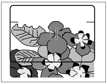 Minolta Explorer Freedom Zoom Film Camera User Manual Minolta Explorer Freedom Zoom Film Camera-55