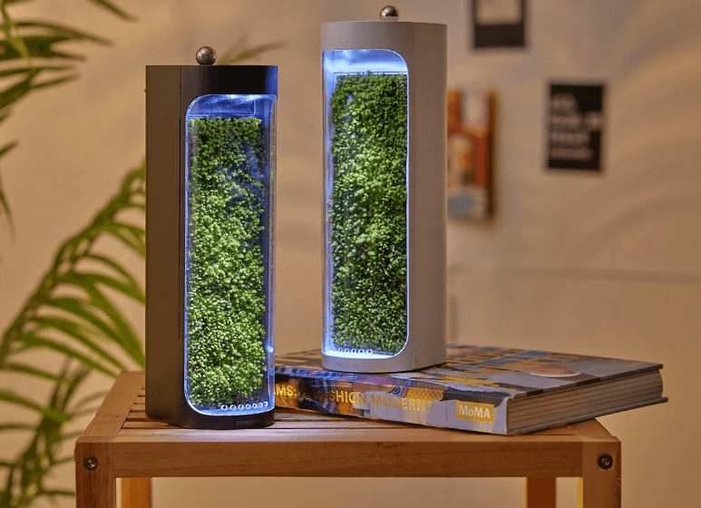 Moss Air Tabletop Humidifier Air Purifier-featured