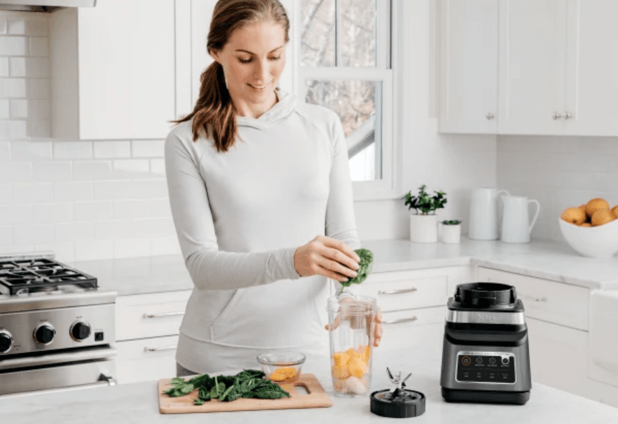 Ninja BN751C Professional Plus Blender Duo User Manual