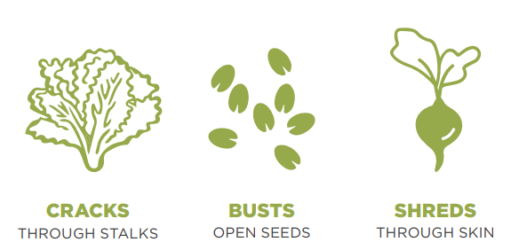 NutriBullet Pro 900W Single-Serve Blender-1