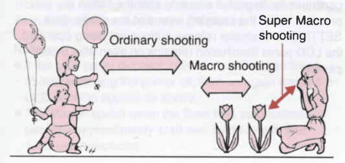 Pentax Zoom 105R Film Camera 24