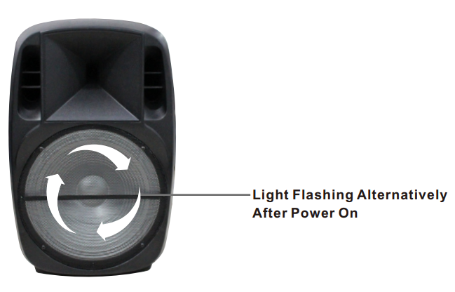 Ridgeway QS3315BR Portable Active Speaker System-4