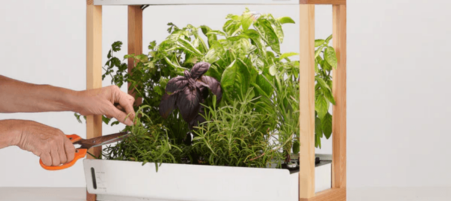 Rise Gardens The Personal Rise Garden Assembly-featured