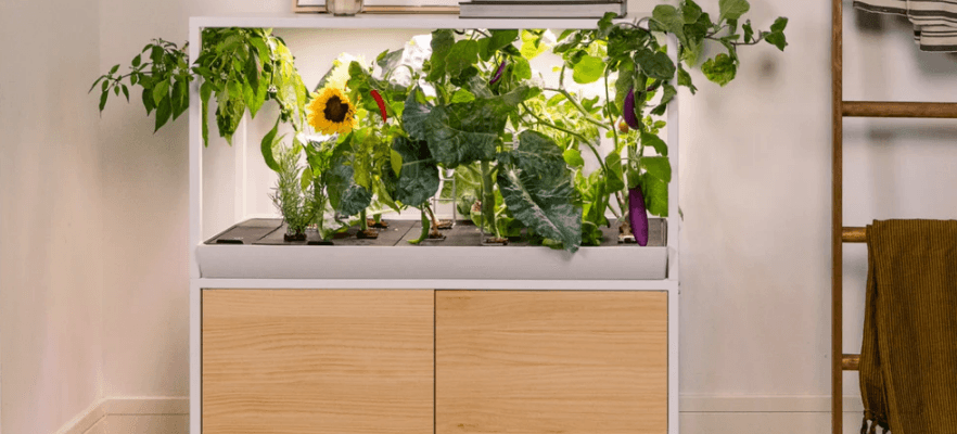 Rise Gardens The Rise Garden 3 Assembly-featured