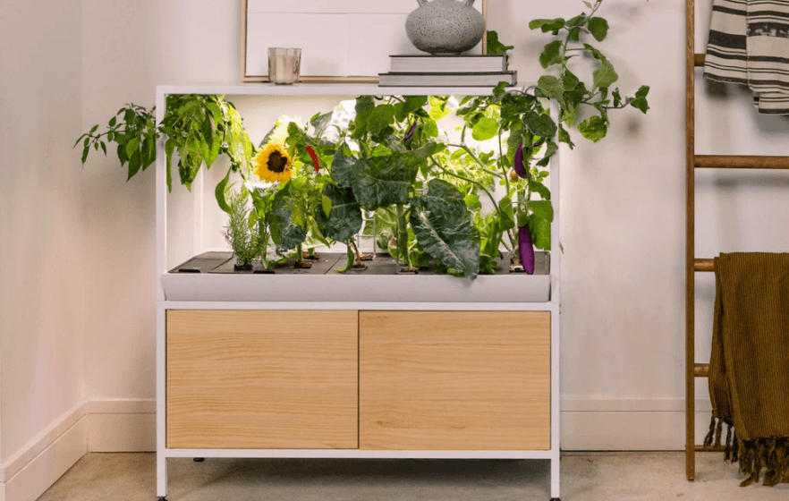 Rise Gardens The Rise Garden 3 Assembly Manual Rise Gardens The Rise Garden 3 Assembly-featured