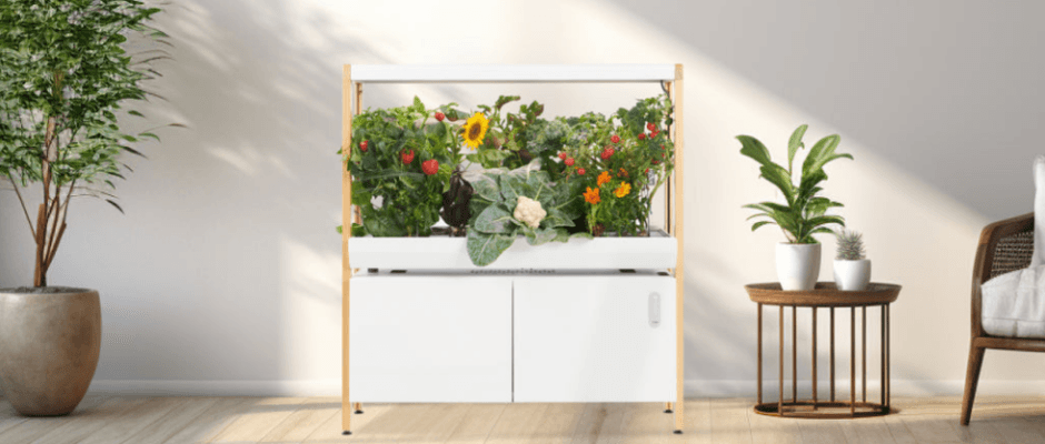 The Rise Garden 2 Assembly-featured