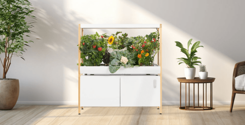 The Rise Garden 2 Assembly-featured