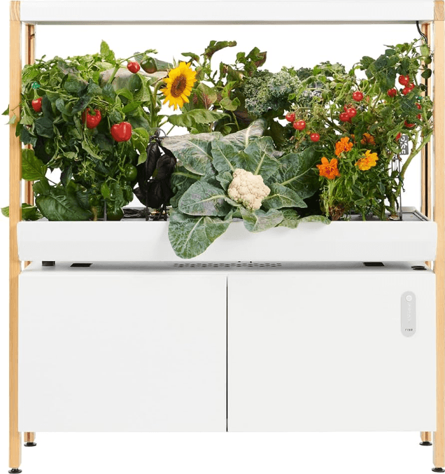 The Rise Garden 2 Assembly-product