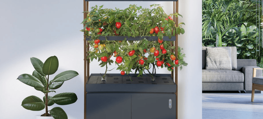 The Rise Roma Garden Assembly-featured