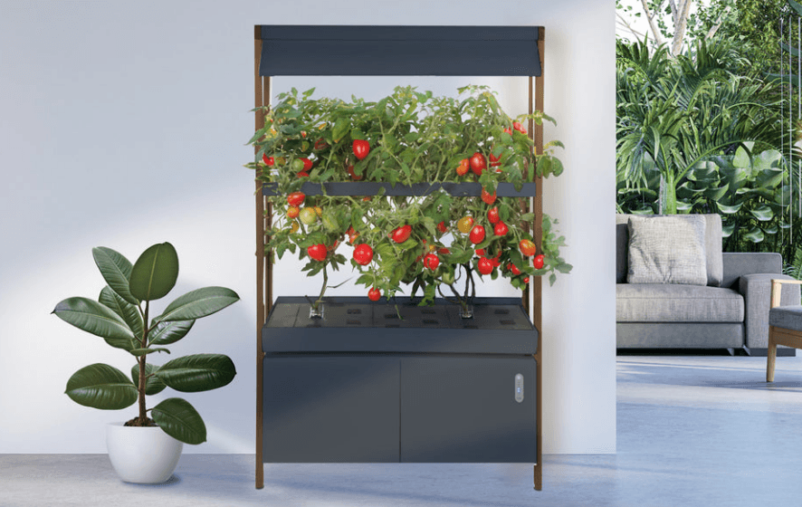 The Rise Roma Garden Assembly Instructions The Rise Roma Garden Assembly-featured