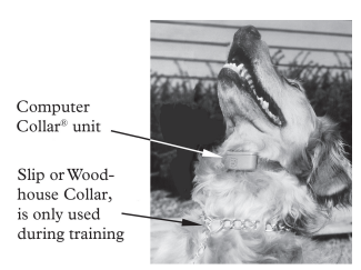 Invisible Fence ICT-801 Transmitter User Manual Invisible Fence ICT-801 Transmitter-15