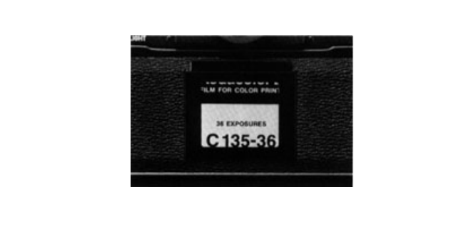 Canon F1N 35mm Film Camera15