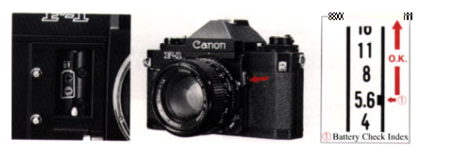 Canon F1N 35mm Film Camera4