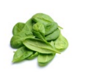 Dash DBBM900 Family Size Egg Bite Maker 18