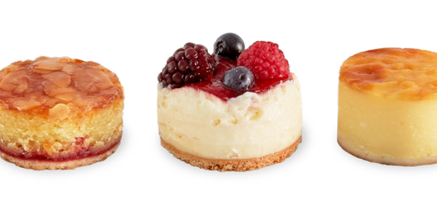 Dash DBBM900 Family Size Egg Bite Maker 2