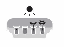 Family Rise Garden Assembly Instructions Family Rise Garden Assembly-49