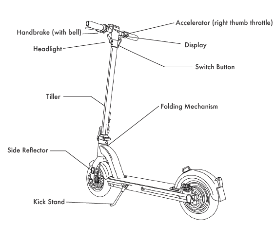 Gotrax G4 Electric Scooter-2