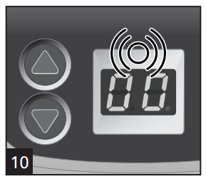 Hamilton Beach 25495 Breakfast Burrito Maker User Manual Hamilton Beach 25495 Breakfast Burrito Maker-11