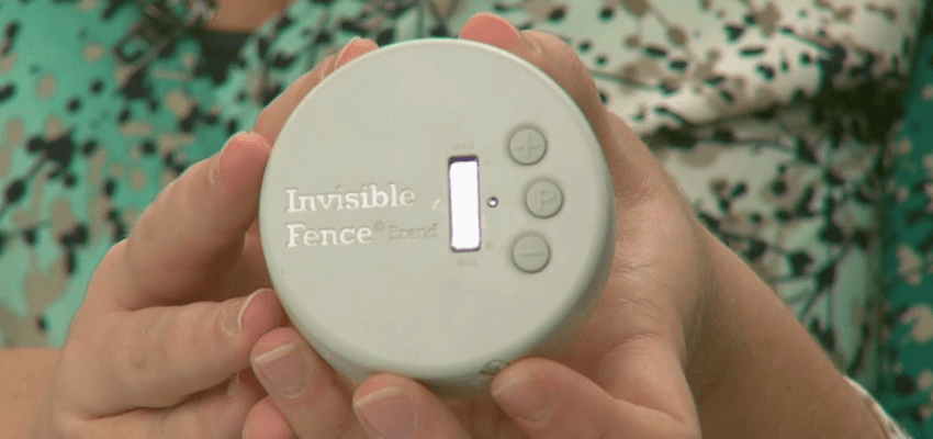 Invisible Fence Indoor Shield Plus Transmitter-featured