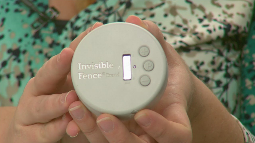 Invisible Fence Indoor Shield Plus Transmitter User Manual