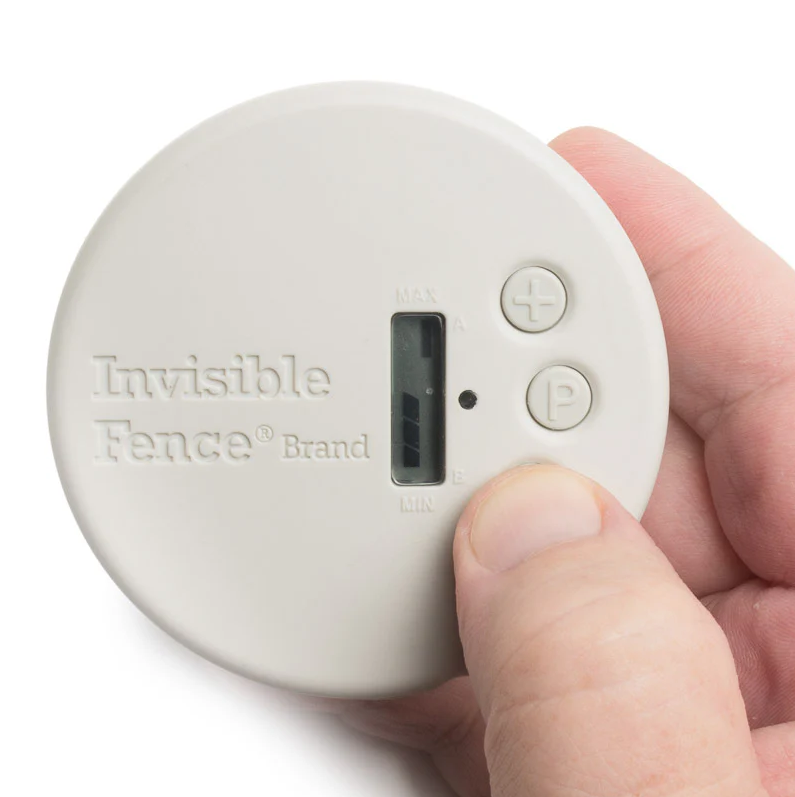 Invisible Fence Indoor Shield Plus Transmitter-product