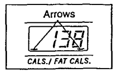 Lifestyler Expanse 600 831 Treadmill-12