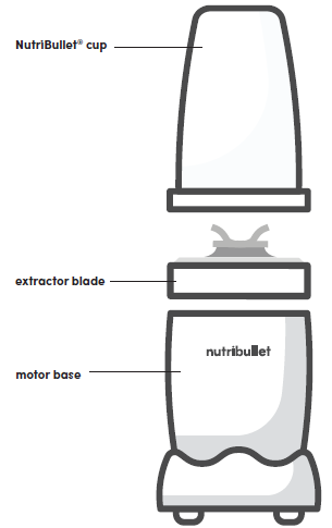 Nutribullet NB9-1301 Pro Deluxe Edition Blender User Manual Nutribullet NB9-1301 Pro Deluxe Edition Blender-2