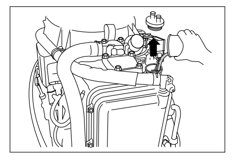 Suzuki DF-25 Outboard Motor24