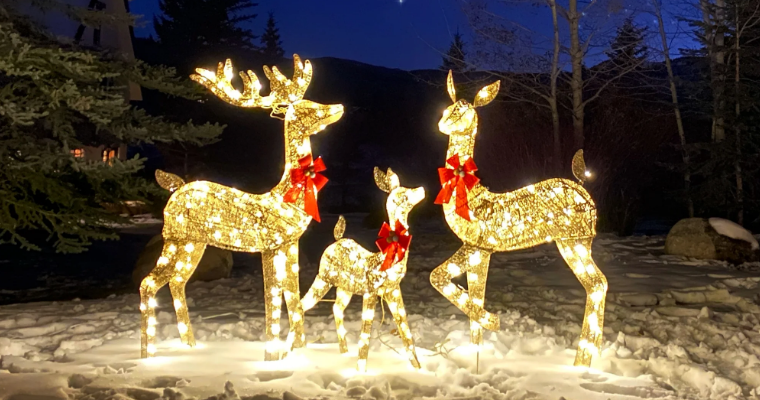 BCP SKY5826 3-Piece Lighted Christmas Deer Set User Manual BCP SKY5826 3-Piece Lighted Christmas Deer Set -featured