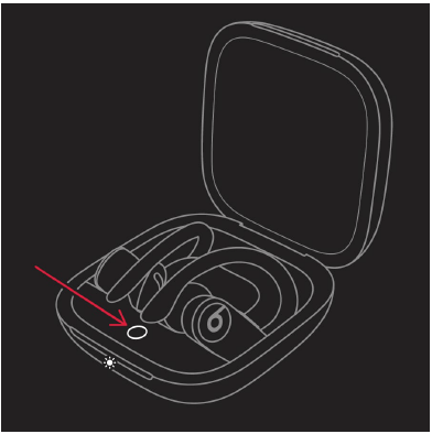 Beats Powerbeats Pro Wireless Earbuds-4