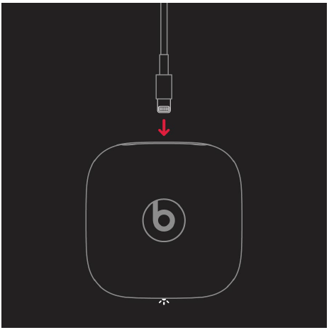 Beats Powerbeats Pro Wireless Earbuds-6