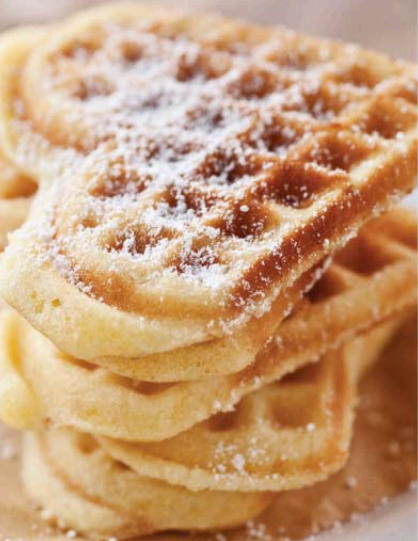 Euro Cuisine WM520 Heart Shaped Iron Waffle Maker Instructions Manual 2