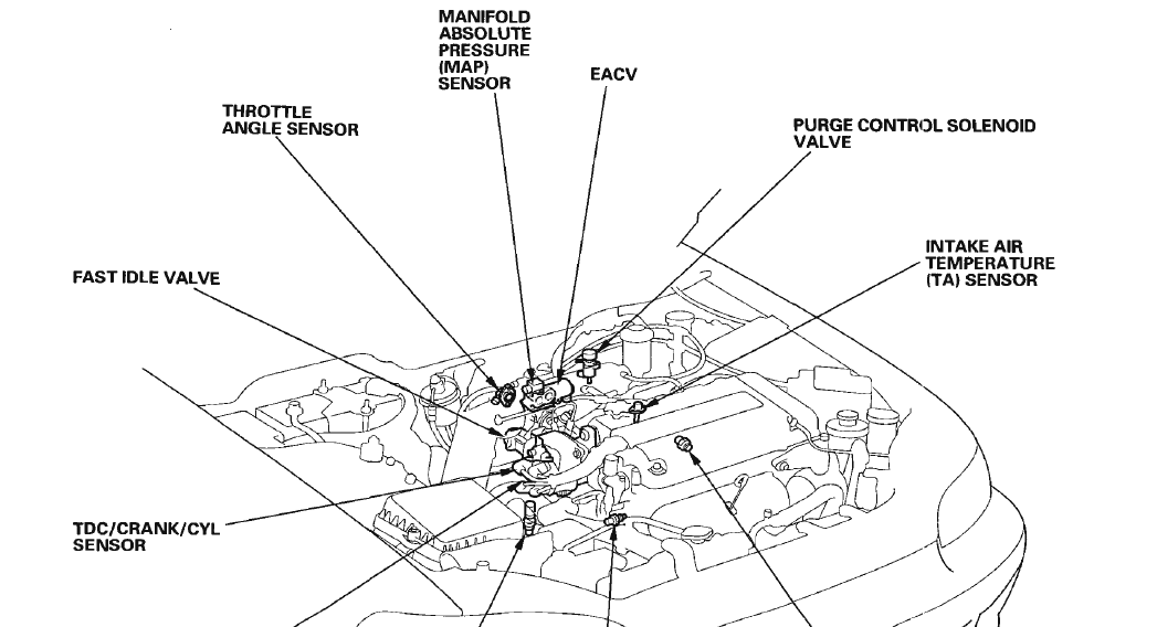 Honda Civic 1995 Car User Manual 21