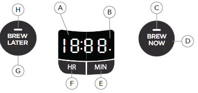 Mr. Coffee PC12 Brew 4
