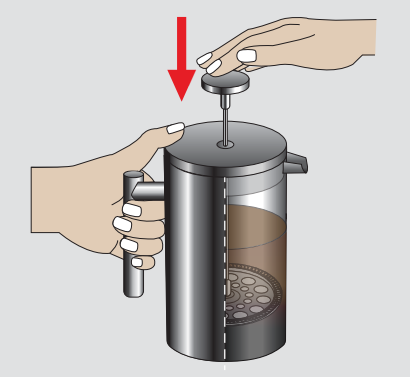 MuellerLiving French Press Coffee Maker-8