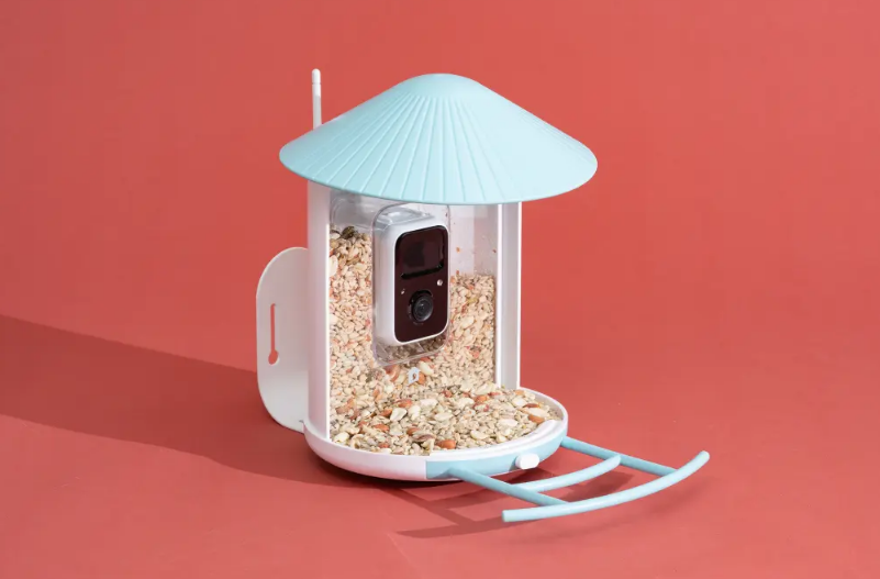 Netvue Birdfy Feeder with Smart Camera-featured
