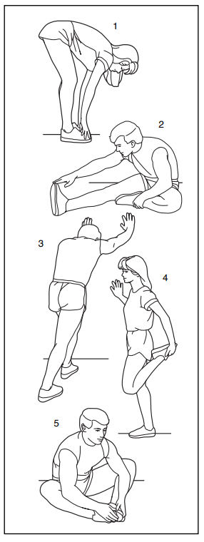 ProForm PFEX33790 Silent Magnetic Resistance 25