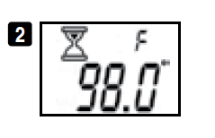 Relion Temple Touch Digital Thermometer User Manual 2