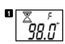 Relion Temple Touch Digital Thermometer User Manual 6