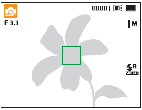 Samsung PL120 Digital Camera User Manual Samsung PL120 Digital Camera-39