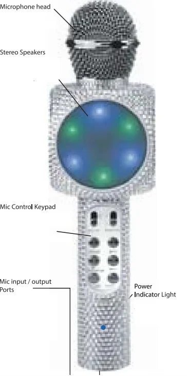 Sing-Along Bling Bluetooth Karaoke Microphone 4