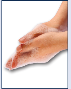 Trividia Health Self Monitoring Blood Glucose System Instructions 2