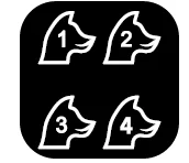 Yawpet DT-72 Dog Shock Collar User Manual | ManualsLibraryy